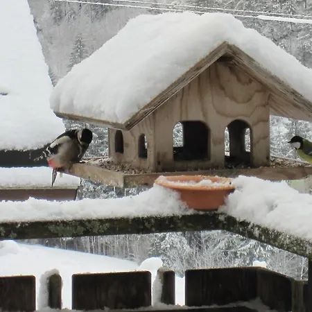 Cafe Zum Jaeger Buchboden